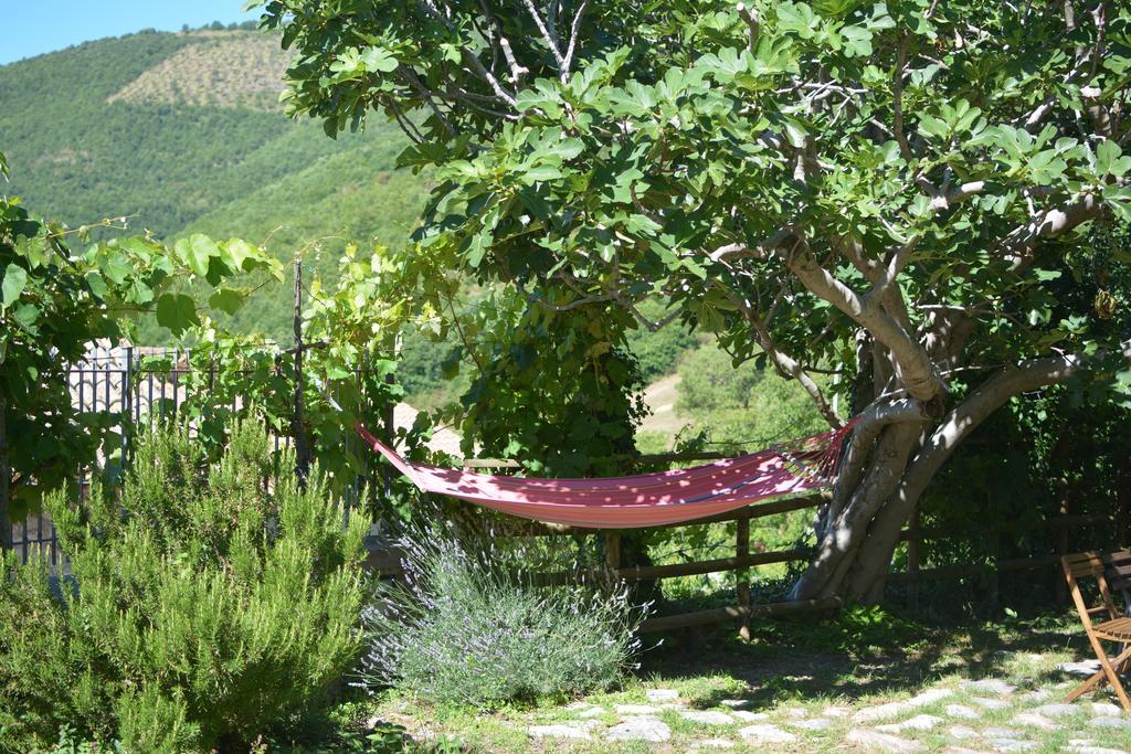 Agriturismo Campagna In Compagnia Vallo di Nera Exteriör bild