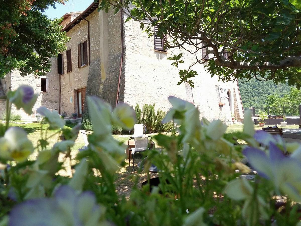 Agriturismo Campagna In Compagnia Vallo di Nera Exteriör bild