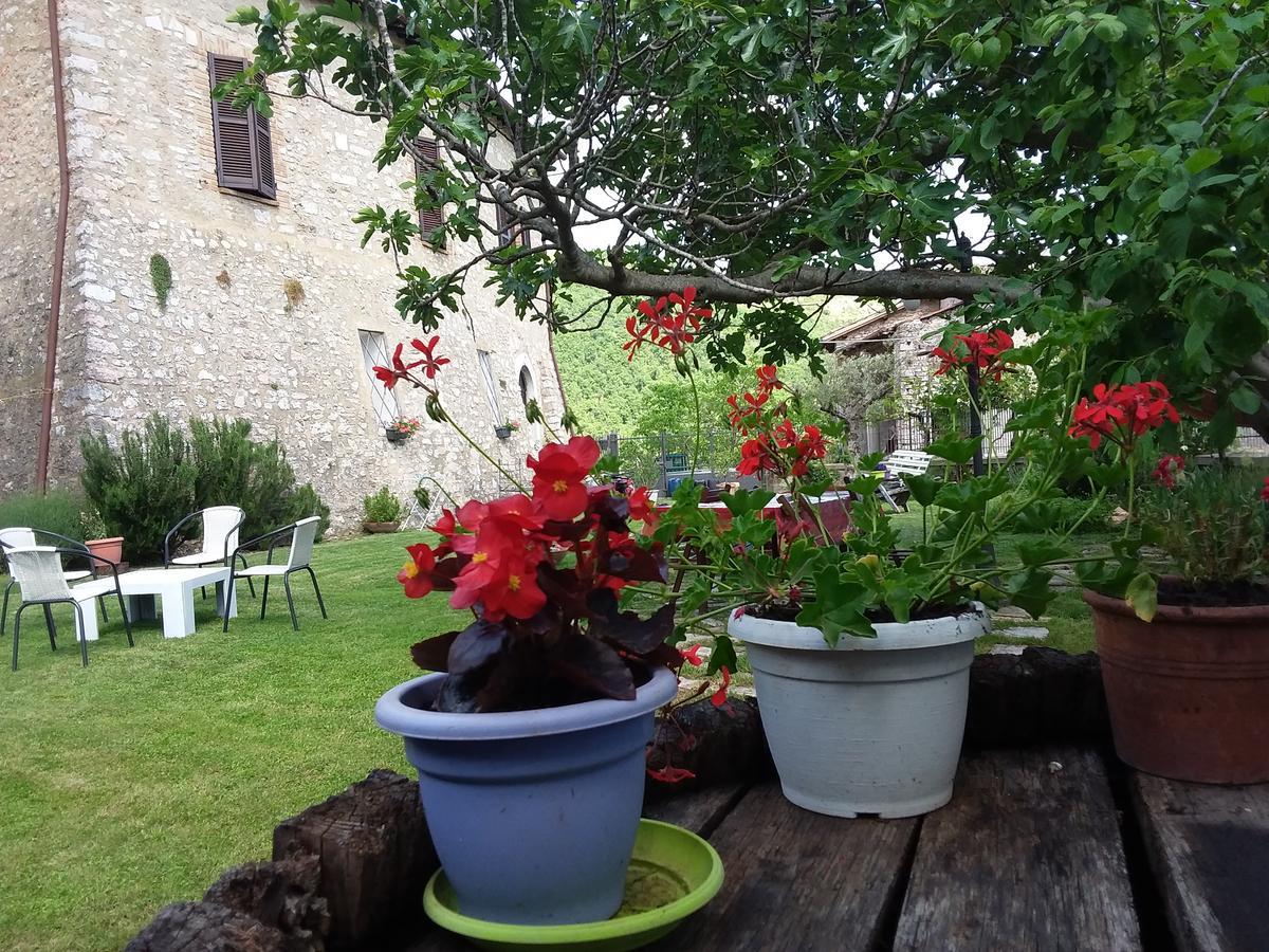 Agriturismo Campagna In Compagnia Vallo di Nera Exteriör bild